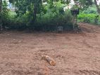 Land for Sale in Bandaragama Galkadehandiya