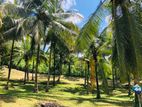 Land for sale in Bandaragama Halthota