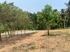 Land for Sale in Bandaragama Kidelpitiya