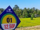 Land for Sale in Bandaragama Millaniya