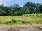 Land for sale in Bandaragama paragasthota