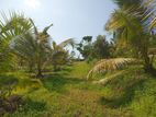 Land for sale in Bandaragama (SSPL-252)