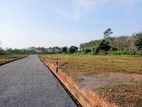 Land for Sale in Bandaragama සුන්දර වෙල් යායකට මුහුනලා බන්ඩාරගම ඉඩමක්