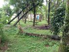 Land for sale in Bandaragama-Weedagama