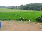 Land for Sale in Bandaragama,Welmilla