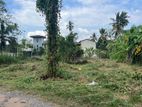 Land For Sale in Bandarawatta - Gampaha (SSPL-247)