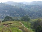 Land for Sale in Bandarawela