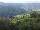 Land for Sale in Bandarawela