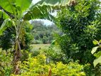 Land For Sale In Bandarawela