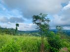 Land for Sale in Bandarawela