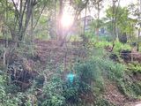 Land for Sale in Bandarawela