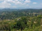 Land for Sale in Bandarawela