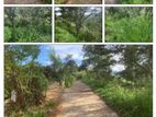 Land for Sale in Bandarawela