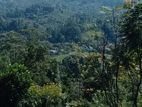 Land for Sale in Bandarawela