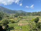 Land for Sale in Bandarawela