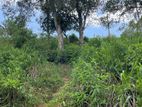 Land for Sale in Bandarawela