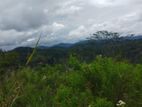 Land for Sale in Bandarawela Kontehela