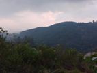 Land for Sale in Bandarawela Kontehela
