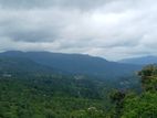 Land for Sale in Bandarawela Kontehela