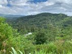 Land for Sale in Bandarawela Kontehela