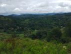 Land for sale in Bandarawela Kontehela