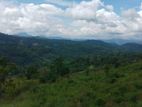 Land for Sale in Bandarawela Kontehela