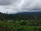 Land for Sale in Bandarawela Matatilla