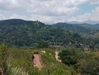 Land for Sale in Bandarawela Matatilla