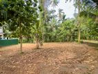 Land for Sale in Batagama North - Ja Ela