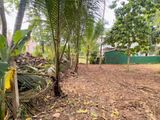 Land for Sale in Batagama North - Ja Ela