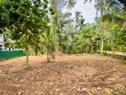 Land for Sale in Batagama North - Jaela