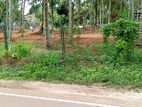 Land for Sale in Batagama Road Kandana Gated community