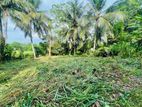 Land for Sale in Batawala