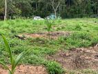 Land for Sale in Batepola, Dunagaha