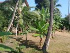Land for Sale in Battaramulla