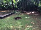 Land for Sale in Battaramulla
