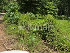 LAND FOR SALE IN BATTARAMULLA ROBERT GUNAWARDENA MW
