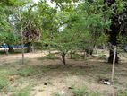 Land for Sale in Batticaloa