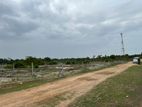 Land for Sale in Batticaloa Korakallimadu