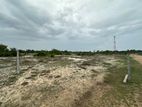 Land for Sale in Batticaloa Korakallimadu