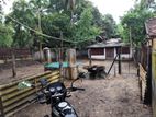 Land for Sale in Batticaloa Town
