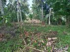 Land for Sale in Beliaththa