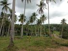 Land for Sale in බෙලිඅත්ත