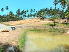 Land for Sale in බෙලිඅත්ත