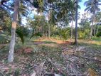 Land For Sale in Beliatta