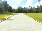 Land for Sale in Beliatta