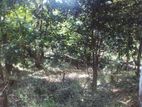 Land for Sale in Belihuloya