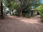 Land for Sale in Bellanvila, Boralesgamuwa THA/L/0071