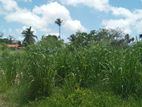 Land For Sale In Bellanvila