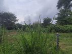 Land For Sale In Bellanvila